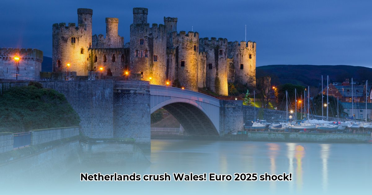 wales-nederland-stand